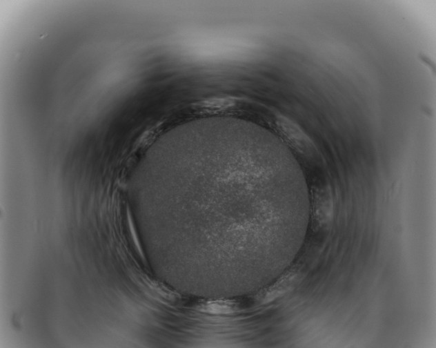 X0000096480758200801311556