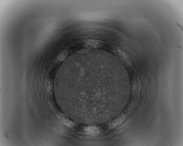 X0000096480759200801311556