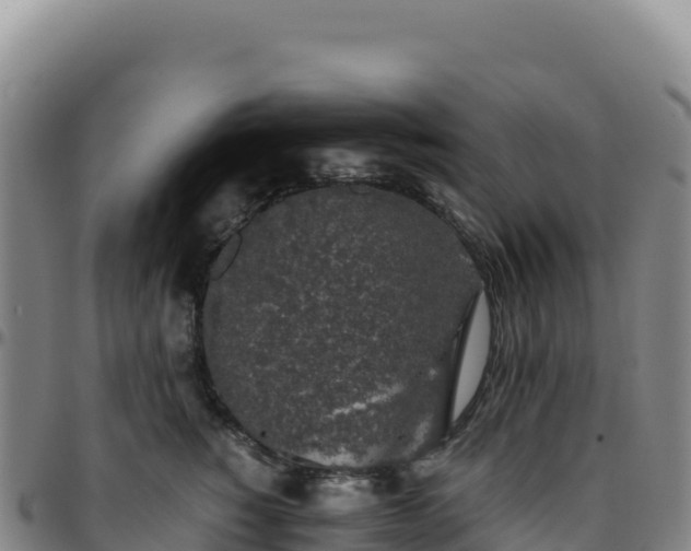 X0000096480760200801311556