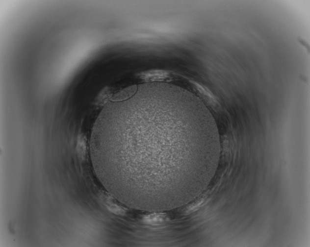 X0000096480761200801311556