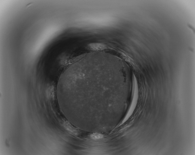 X0000096480762200801311556