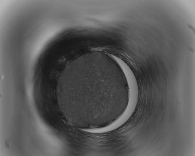 X0000096480763200801311556