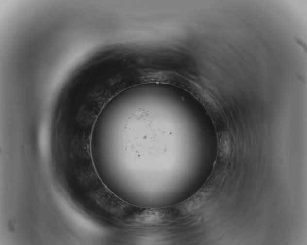 X0000096480764200801311556