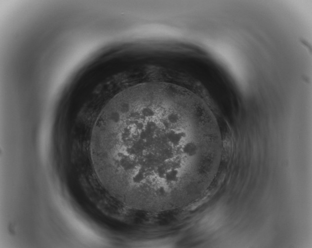 X0000096480765200801311556