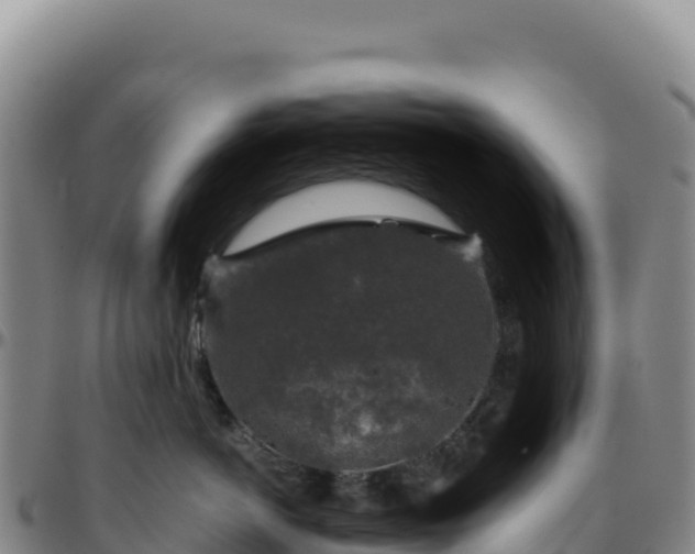 X0000096480766200801311556