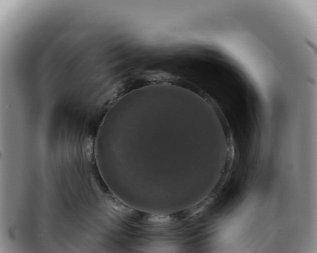 X0000096480767200801311556