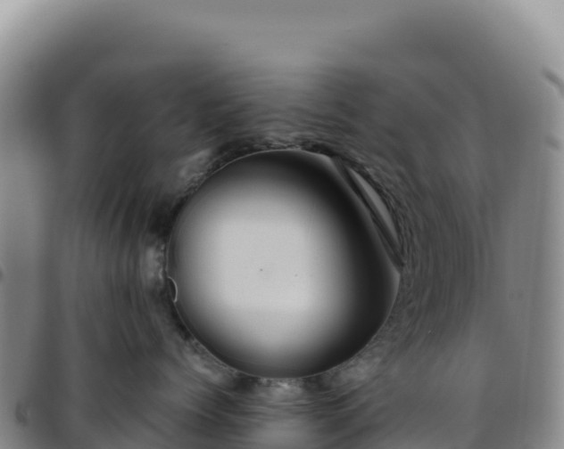 X0000096480768200801311556