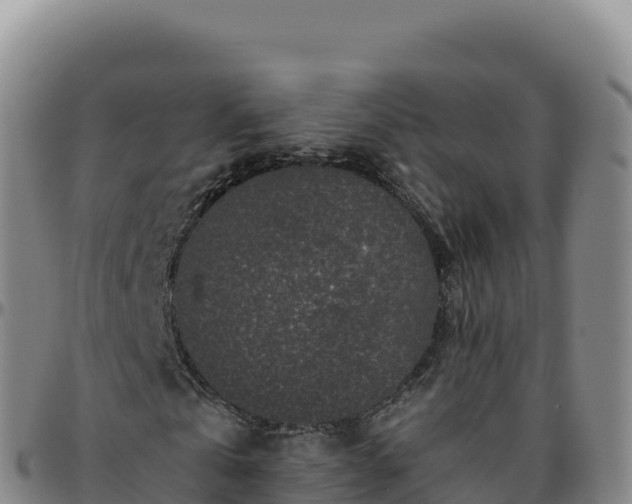 X0000096480769200801311555