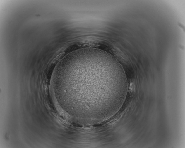 X0000096480771200801311555