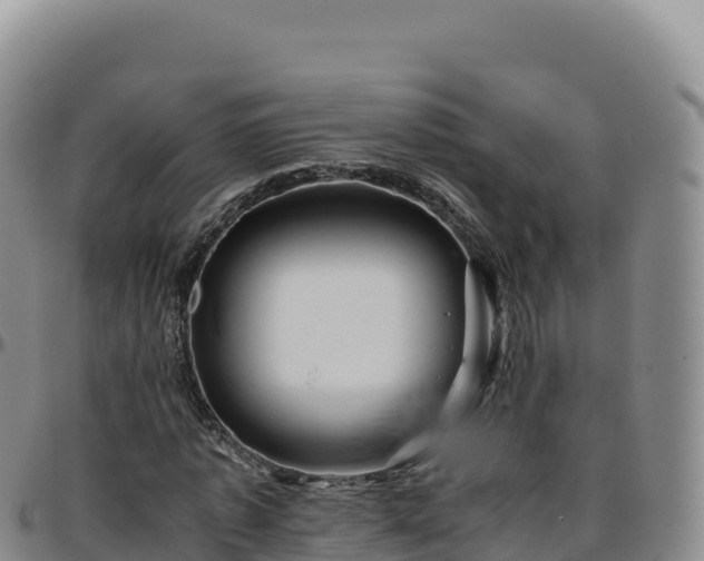 X0000096480773200801311555