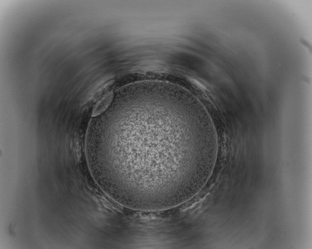 X0000096480774200801311555