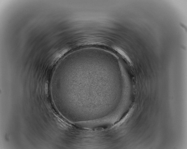 X0000096480777200801311555