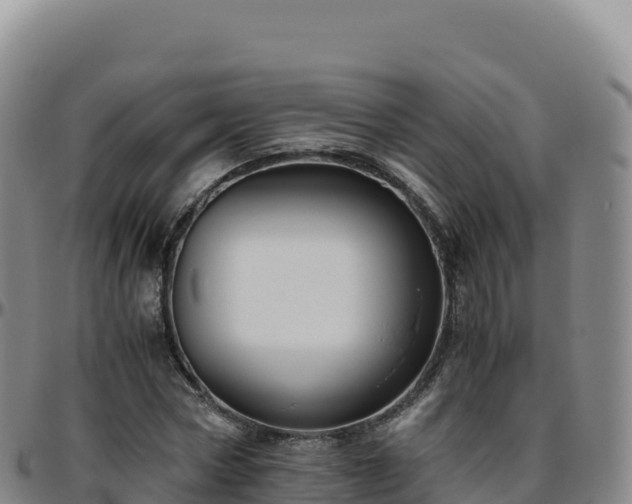 X0000096480778200801311555