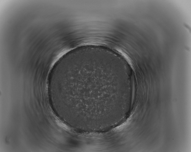 X0000096480779200801311555