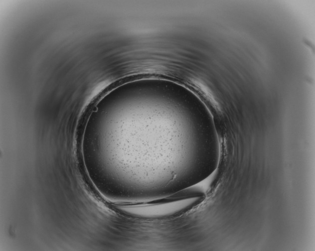 X0000096480780200801311555