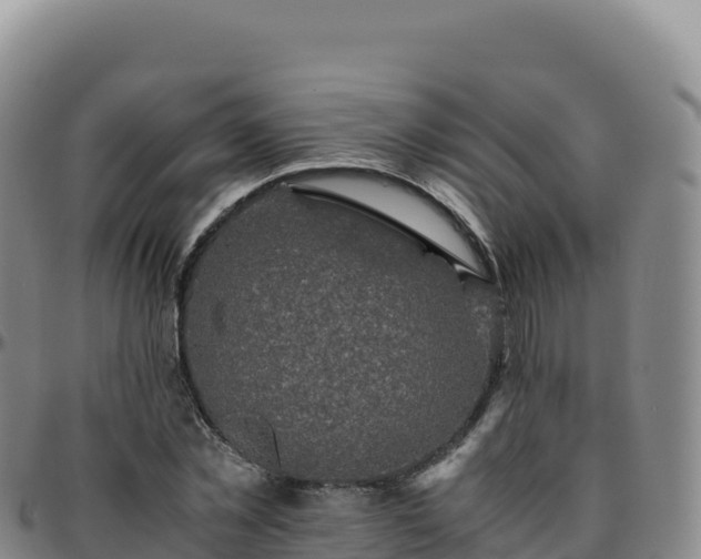 X0000096480781200801311555