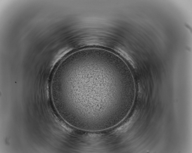 X0000096480782200801311555