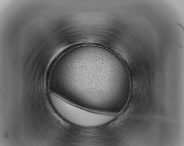 X0000096480784200801311555