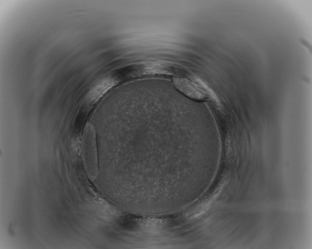 X0000096480785200801311555