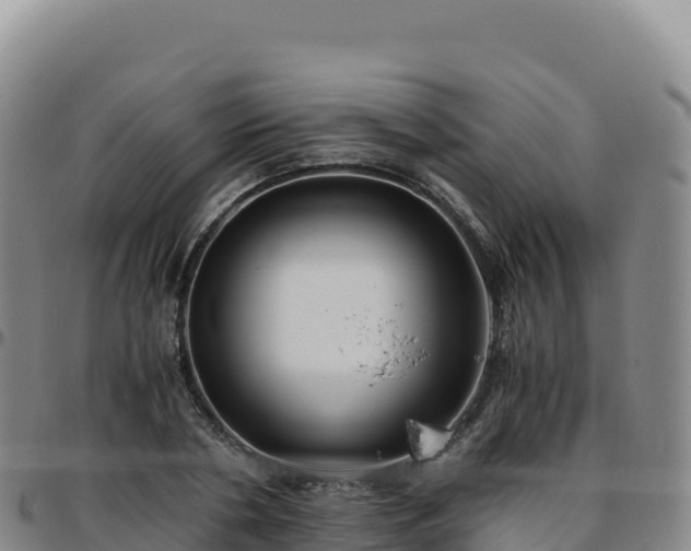 X0000096480786200801311555