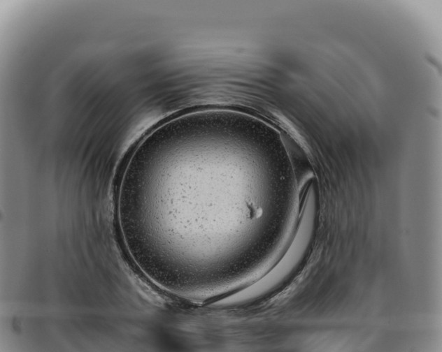 X0000096480787200801311555