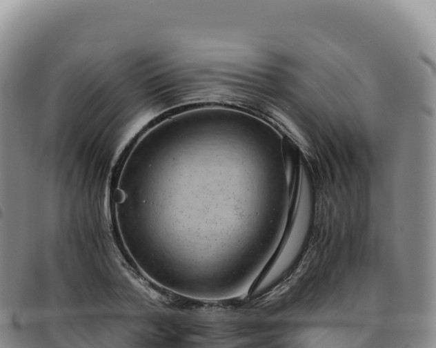 X0000096480788200801311555