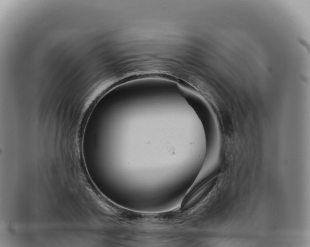 X0000096480789200801311555