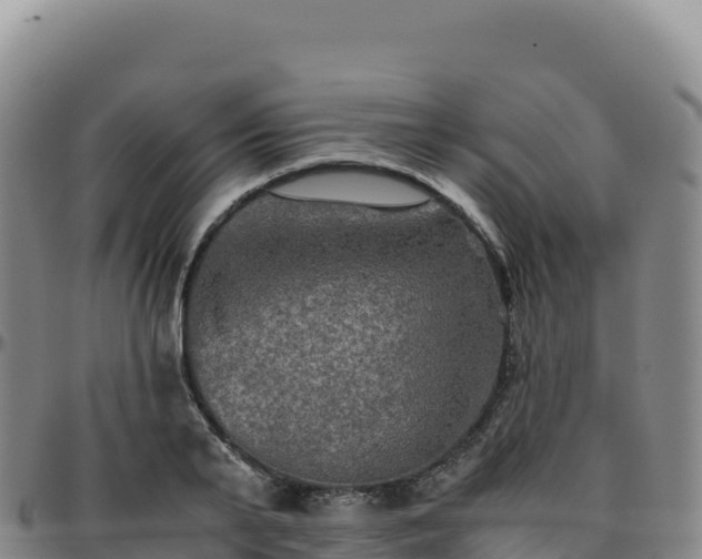 X0000096480791200801311555