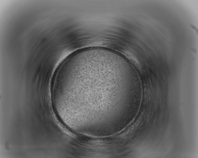 X0000096480792200801311555