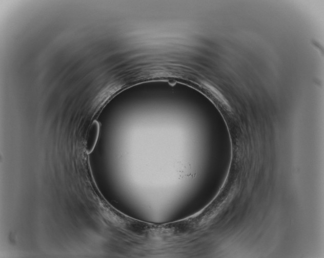 X0000096480793200801311555