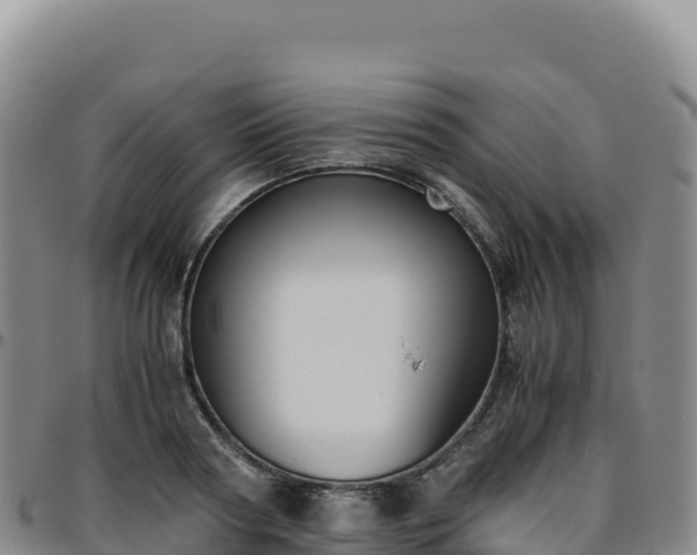 X0000096480794200801311555