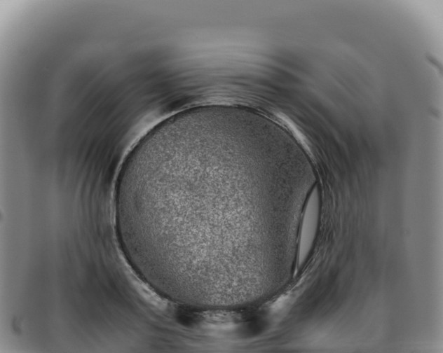 X0000096480795200801311555