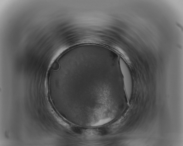 X0000096480796200801311555