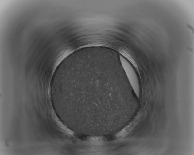 X0000096480797200801311555