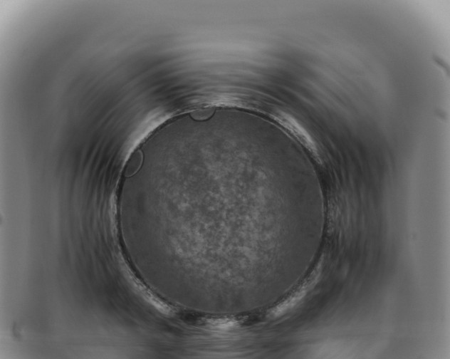 X0000096480798200801311555