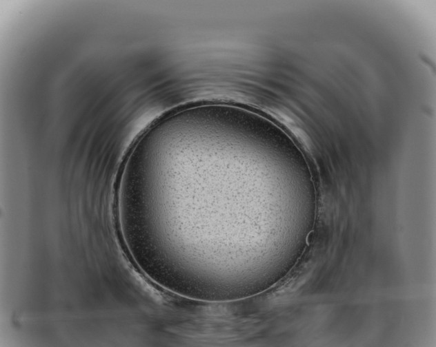 X0000096480799200801311555