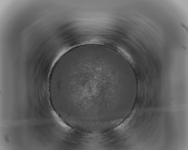 X0000096480800200801311555