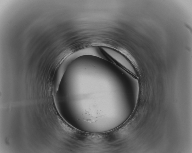 X0000096480801200801311555