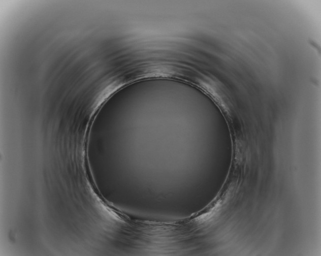 X0000096480802200801311555