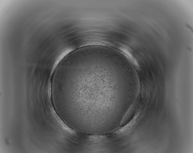 X0000096480804200801311555