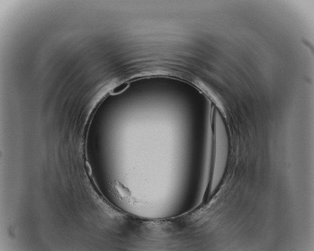 X0000096480805200801311555