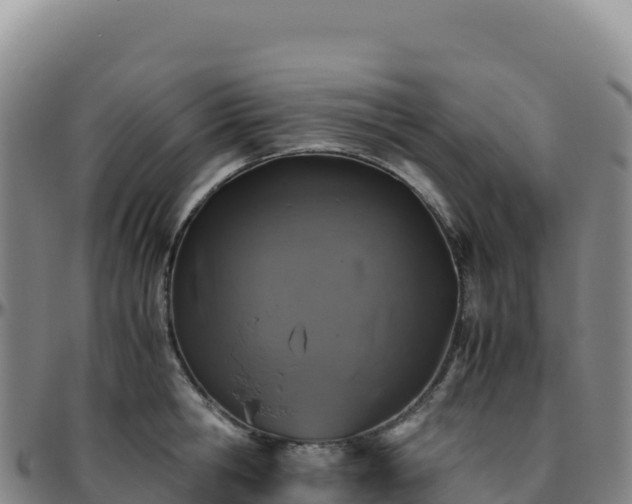 X0000096480806200801311555