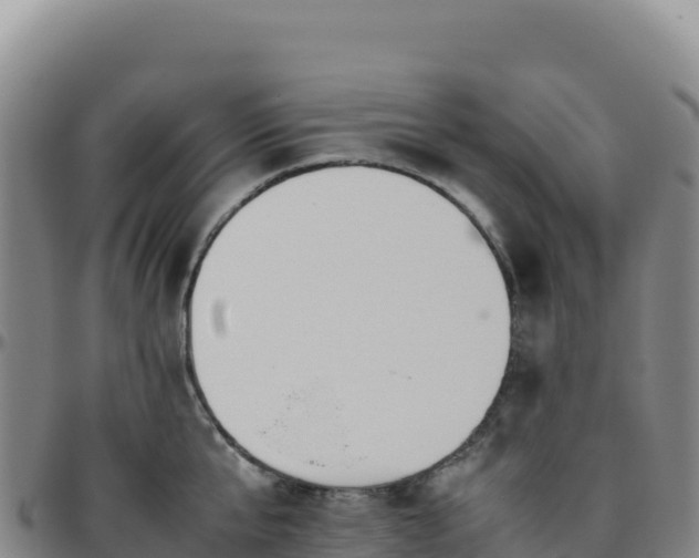 X0000096480807200801311555