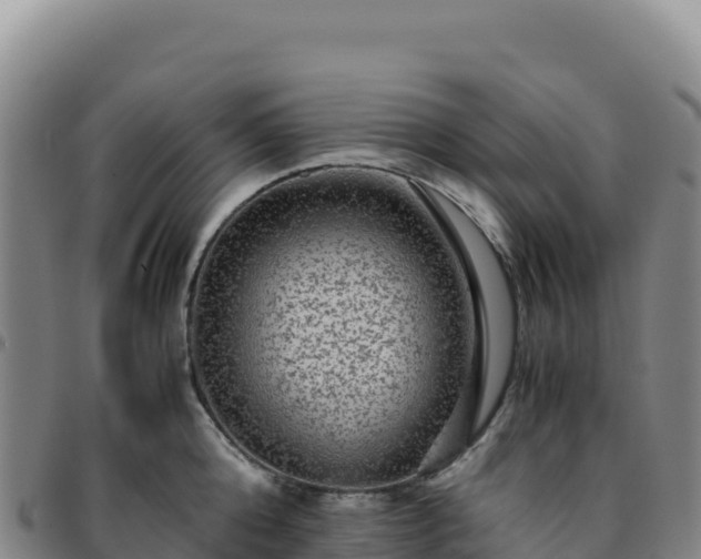 X0000096480808200801311555