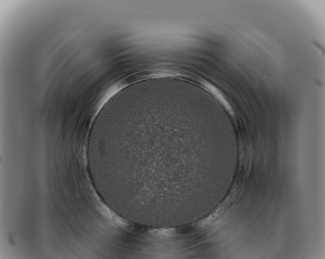 X0000096480810200801311555