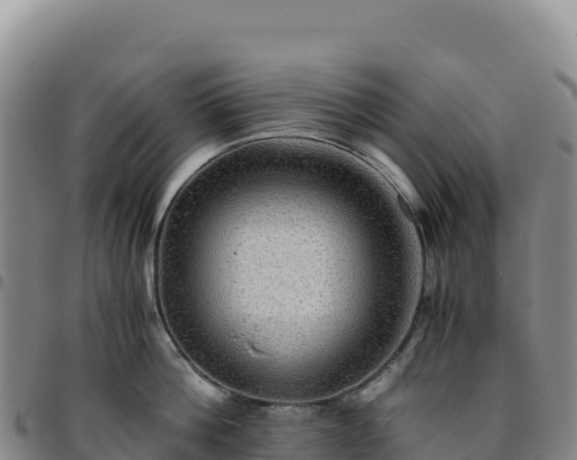 X0000096480812200801311555