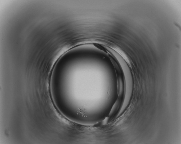 X0000096480813200801311555