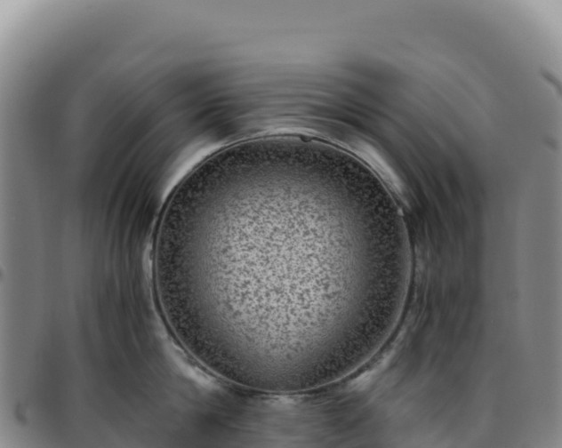 X0000096480814200801311555