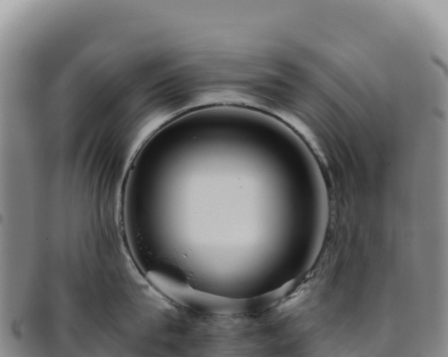 X0000096480815200801311554