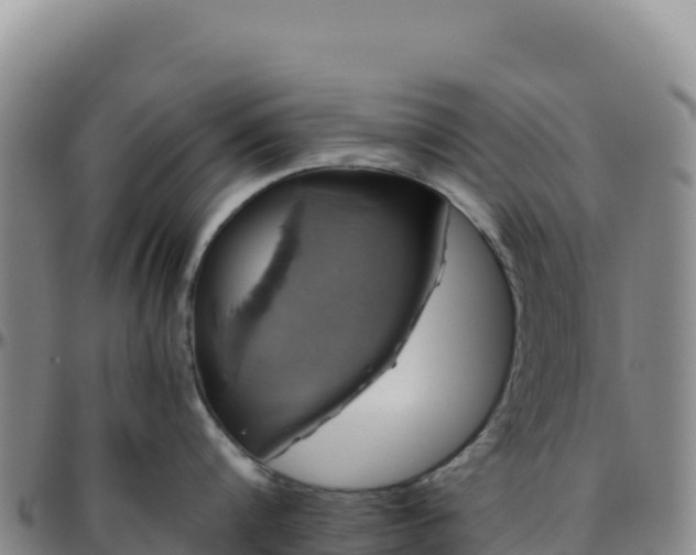 X0000096480816200801311554